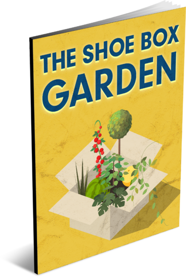 The Shoe Box Garden