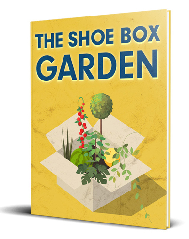 The Shoe Box Garden