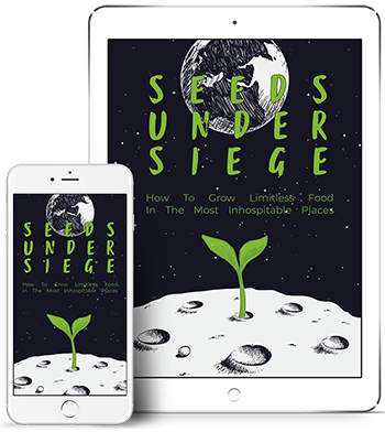 Seeds Under Siege